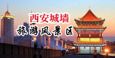 羞羞答答论理中国陕西-西安城墙旅游风景区
